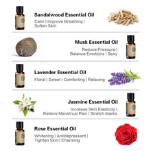 Load image into Gallery viewer, Set of 10 Essential Oils&lt;br&gt;Favorites Collection
