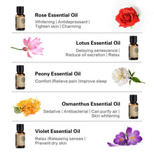 Load image into Gallery viewer, Single 10ml Essential Oil&lt;br&gt;13 Oil Choices
